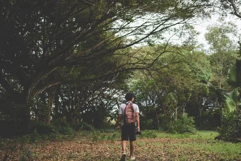 Young man exploring forest alone. Male walking alone in the forest. Backpac.. Stock Photos