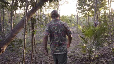 A young man is exploring a jungle during the sunset Stock Footage 221785925