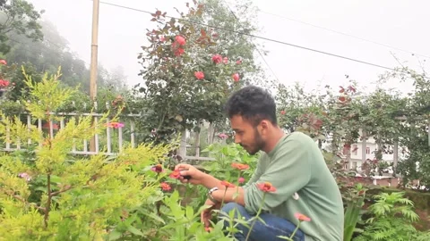 A Young Man Farmer is Caring his garden Stock Footage 288370561