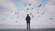 Young Man Feeding Seagulls Near The Sea Stock Footage