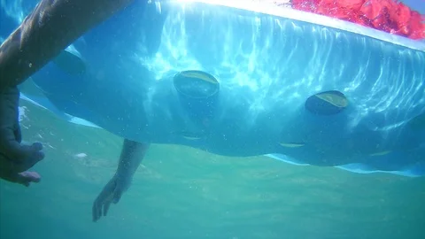 A young man is floating on an inflatable mattress Vidéo 95533032