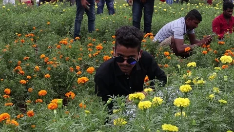 Young-man-with-flower-in-hand-poses-for-camera Video stock 115941920