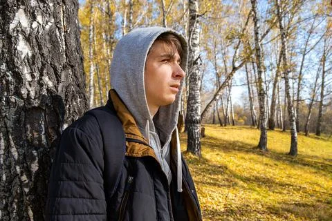 Young Man in the Forest Stock Photos