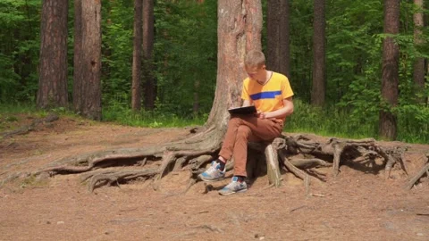 A young man in the forest sits and paints a picture with a pencil. Stock Footage 92311216