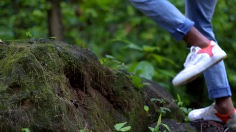 Young man in forest walking on rocks woods with backpack concept travel tourism Video stock 131563139