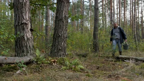 A young man found two large white mushrooms in the forest. Stock-Footage 140617529