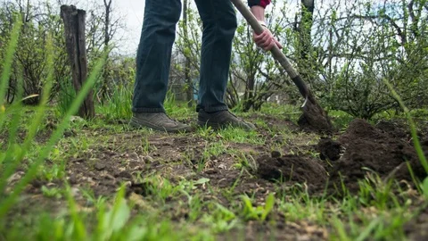 Young Man Gardener Digs the Ground with a Shovel in the Garden. Time Lapse Stock Footage