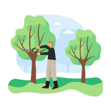 Young man, gardener pruning tree by cutting away dead branches with pruner, flat Stock Illustration