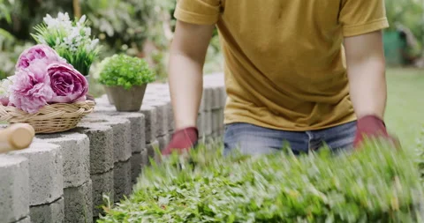 A young man is gardening. Preparing grass carpet before plant on lawn Stock Footage 159048135