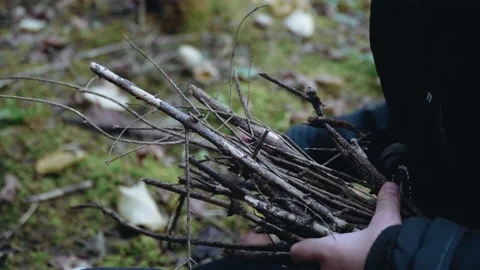A young man gathers branches to light a fire, in a camp in the woods, camping. Stock Footage 195446910