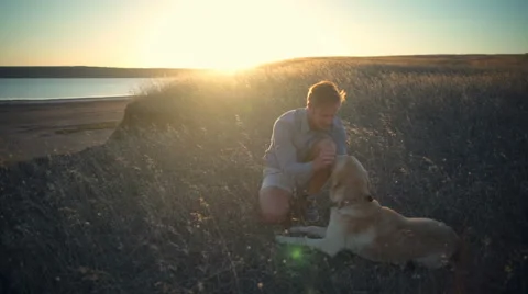 Young man gently caressing old dog in dry grass at sunset Stock Footage 68311573