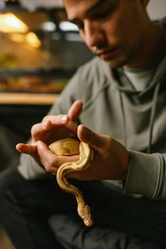 Young man gently holding a pet snake near its reptile habitat Stock Photos
