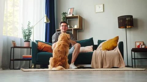 Young man in glasses sitting on sofa, petting his dog and throwing small ball to Stock Footage 156086433