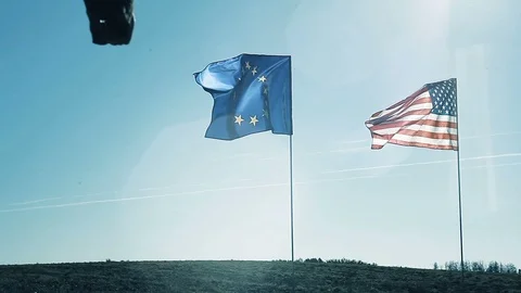 The young man goes to the flags with his back to the camera Stock Footage 95936027