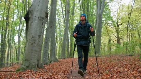 A young man goes hiking in the autumn forest. Stock Footage 219800154