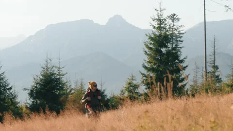Young man goes through tall dry grass in meadow overlooking mountain peaks Video stock 283022003