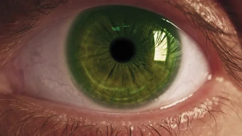 Young man green eye macro shot 4k Stock Footage 156791418
