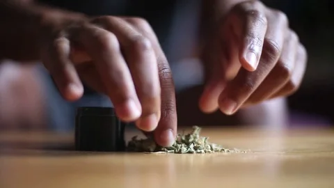 Young Man Grinding Marijuana - Close up Stock Footage 78198679