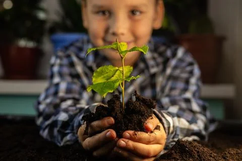 A young man grows a tree seedling, helping to preserve the planet and nature Stock Photos