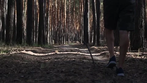 Young man in a hat while hiking in the woods. Narrow focus. Stock Footage 150260833