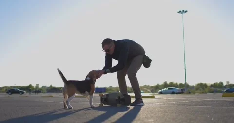 A young man is having fun with his dog in the fresh air. The owner is playing Stock Footage 197336105