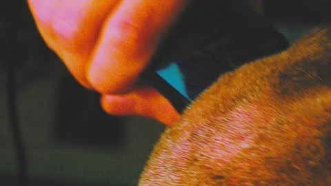 Young man head shaving Stock Footage 101636997