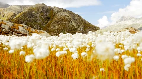 Young man hiking alone in mountain landscape scenery. colorful nature Stock Footage 64799767
