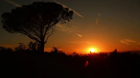 Young man hiking at sunset Stock Footage 89739387