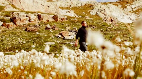 Young man hiking through cotton field in mountain scenery Stock-Footage 42939672