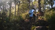 Young Man Hiking Uphill Into The Forest Stock Footage