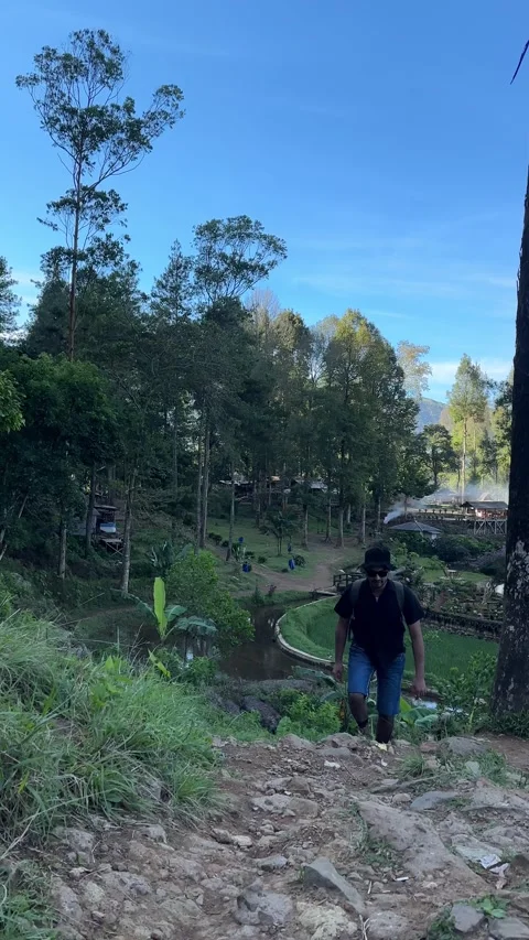 Young Man Hiking Uphill on Mountain Path, Lush Forest, Vertical Shot Stock Footage 323910862