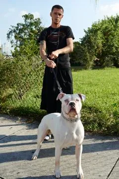 Young man holding his attack dog on a leash Stock Photos