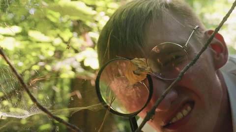 Young Man Holding Microscope Observing Dry Leaf on Spider Webs Video stock 321109191