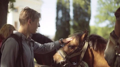 Young man at the horse in ranch 库存影片 72568063