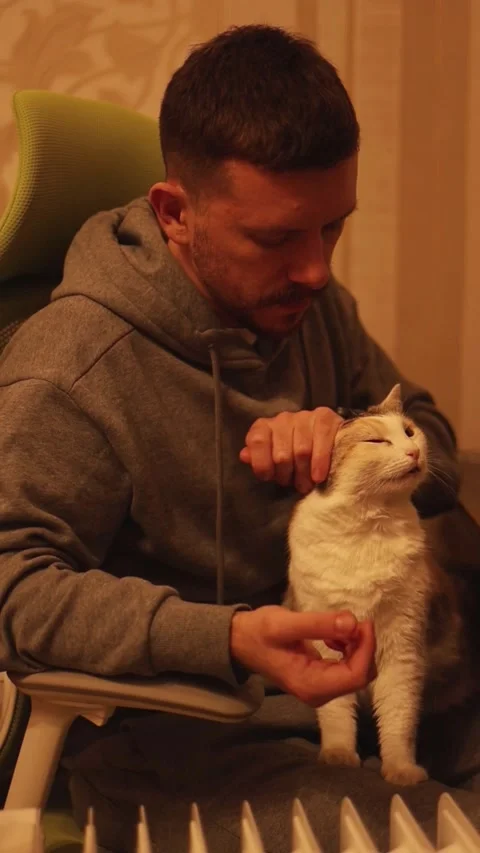 Young man hugging a cat Stock-Footage 311401870