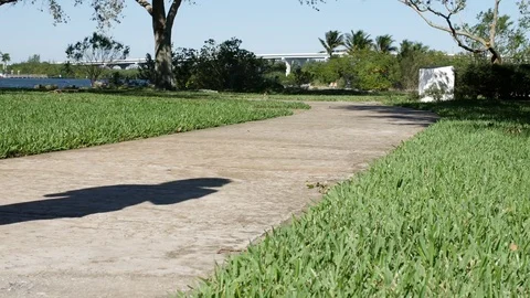 Young man jogging in the park. Stock Footage 71776594