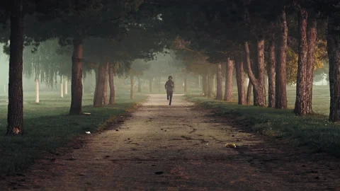 Young man jogging,  running in misty forest, Man Training Jogging Outdoor. Vídeo Stock 141853549
