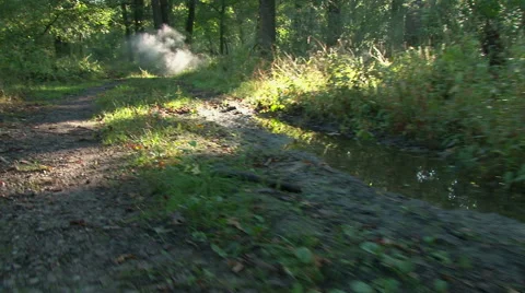 Young man jogging at sunrise Stock Footage 42184888