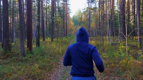 A young man jogging through the autumn forest. Video stock 117511060