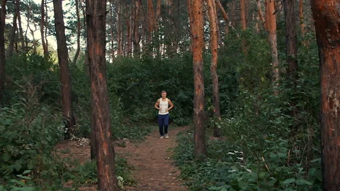 Young man Jogging in the woods Stock Footage 95743615