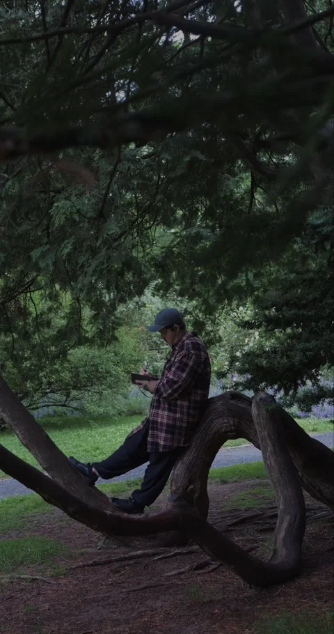 Young man journaling on a curved tree trunk in a peaceful park. Stock Footage 313950113