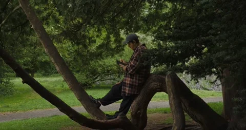 Young man journaling on a curved tree trunk. Stock Footage 313950765