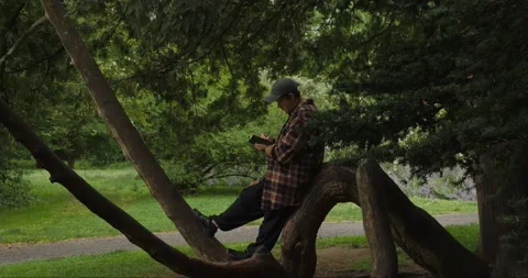 Young man journaling on a curved tree trunk in a peaceful park Stock Footage 313950802