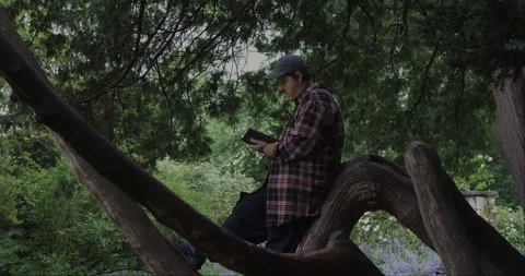 Young man journaling on a curved tree trunk in a peaceful park. Vidéo 313950879