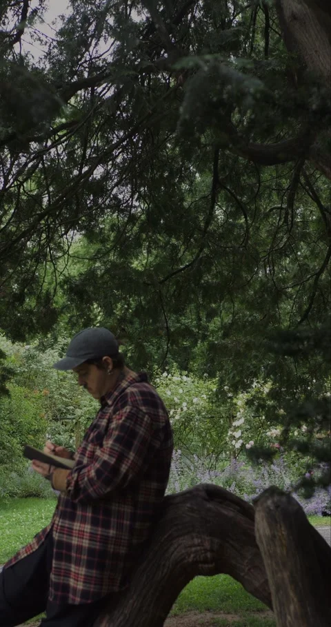 Young man journaling in a notebook on a curved tree trunk in a peaceful park. Stockbeeldmateriaal 313950161