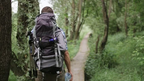 Young Man With a Large Rucksack Walking in the Woods Stock Footage 77675317