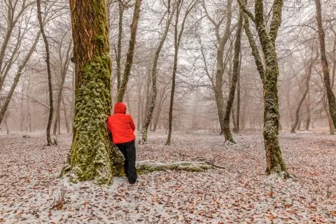 Young man is leaning on a tree in a winter forest Stock Photos