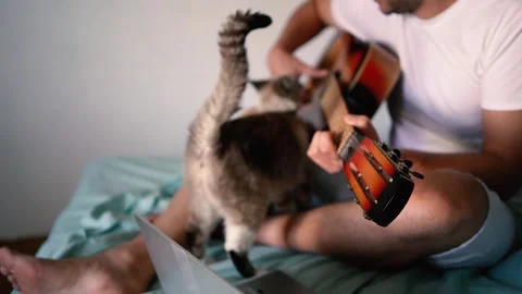 Young man is learning to play the guitar at home, a cat is lying next to hi.. Stock-Footage 276379280