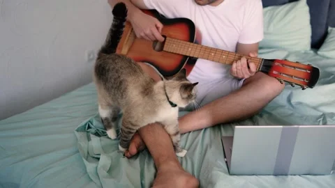 Young man is learning to play the guitar at home, a cat is lying next to hi.. Stock-Footage 276379292