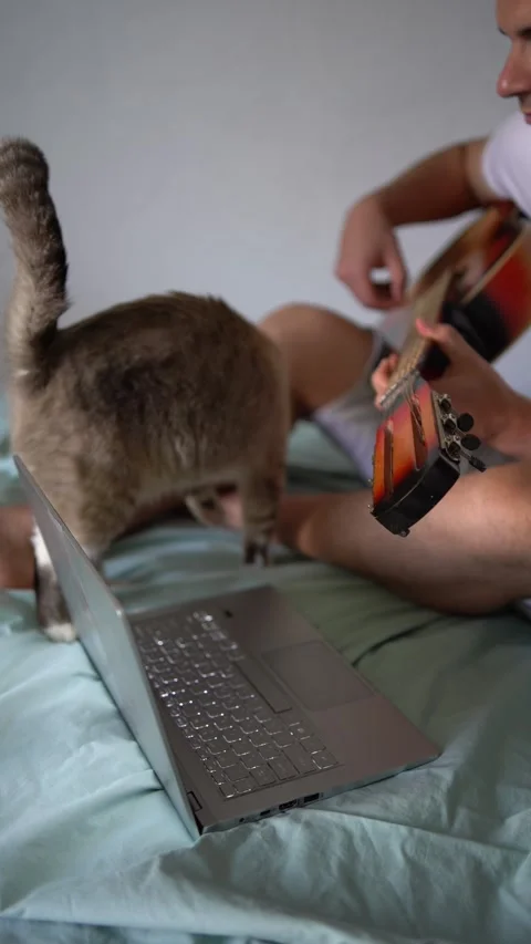 Young man is learning to play the guitar at home, a cat is lying next to hi.. Stock-Footage 276379453